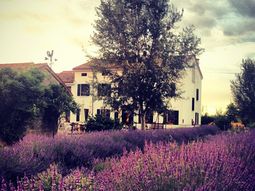 Agriturismo Viridarium Castellucchio Buitenkant foto